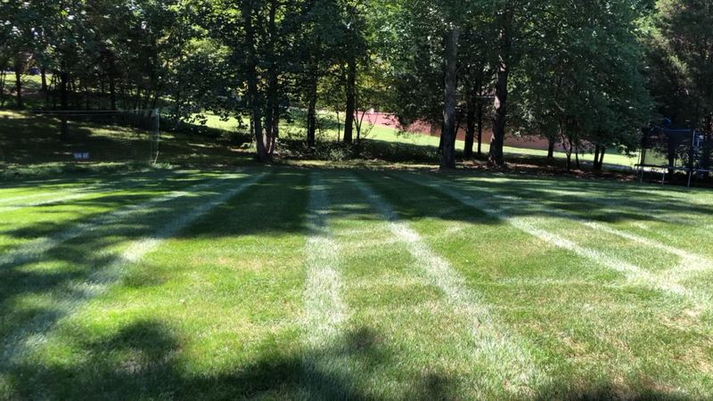 Lawn Care