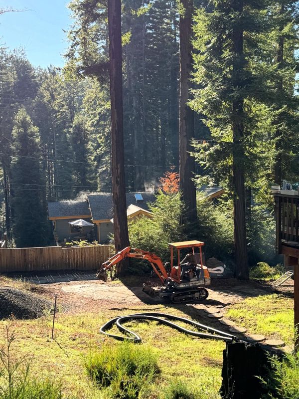 Mulch Installation