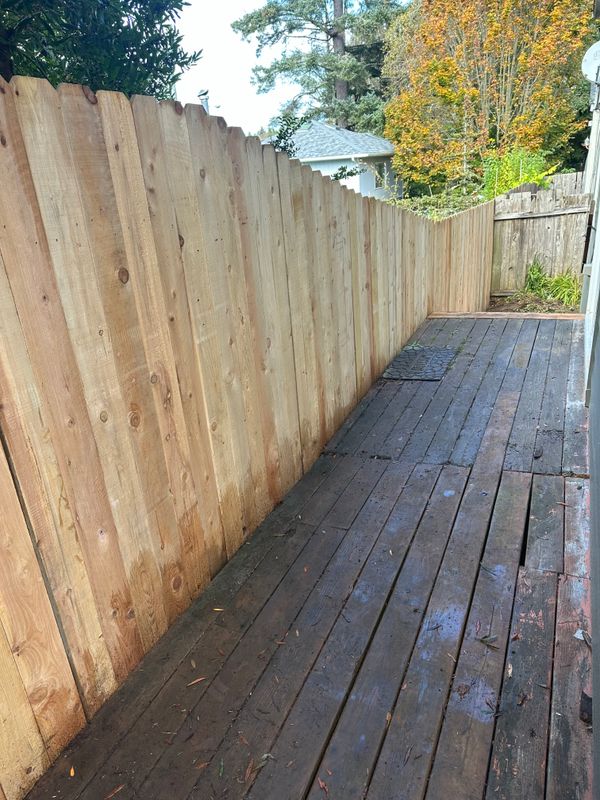 Fencing Repair & Installation