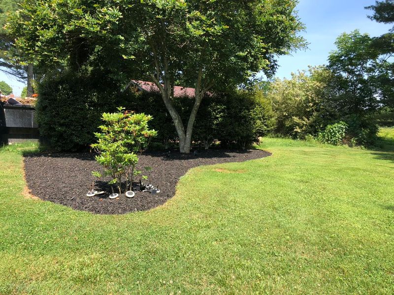 Mulch Installation