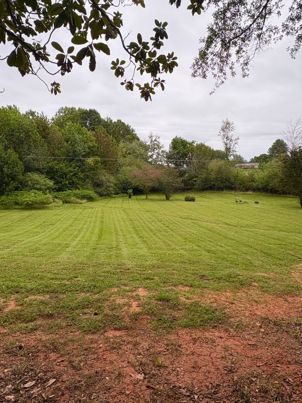 Mowing
