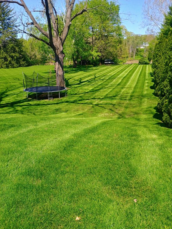 Lawn Care and Maintenance