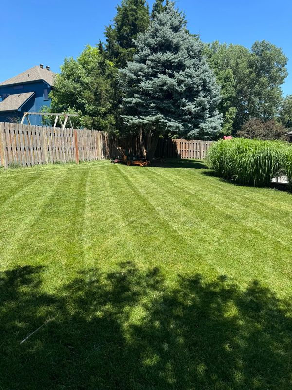 Lawn Maintenance