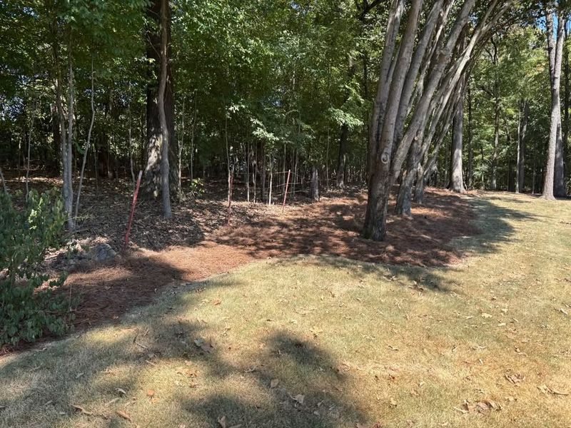Land Clearing