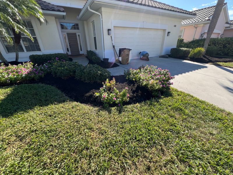 Landscape Design