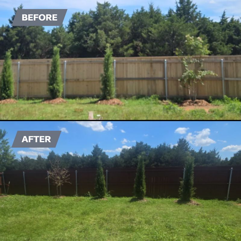 Deck and Fence Staining