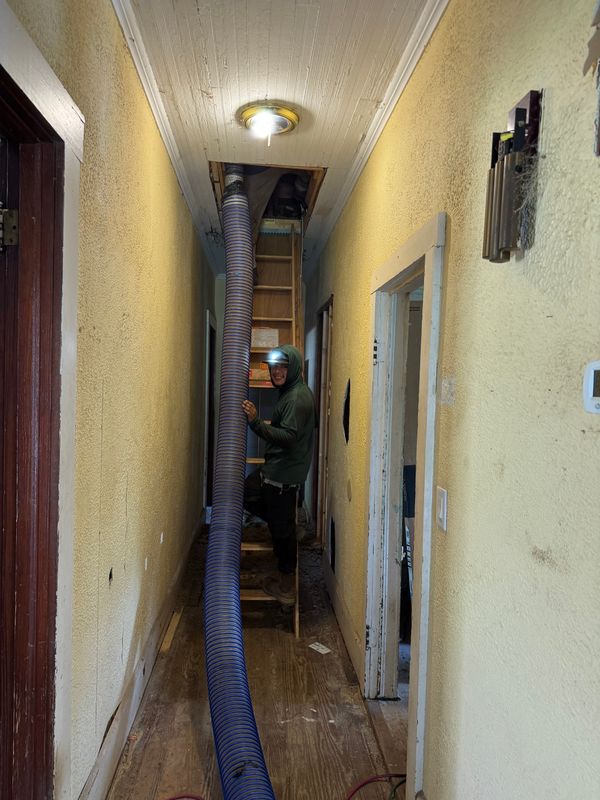 Blow In Insulation