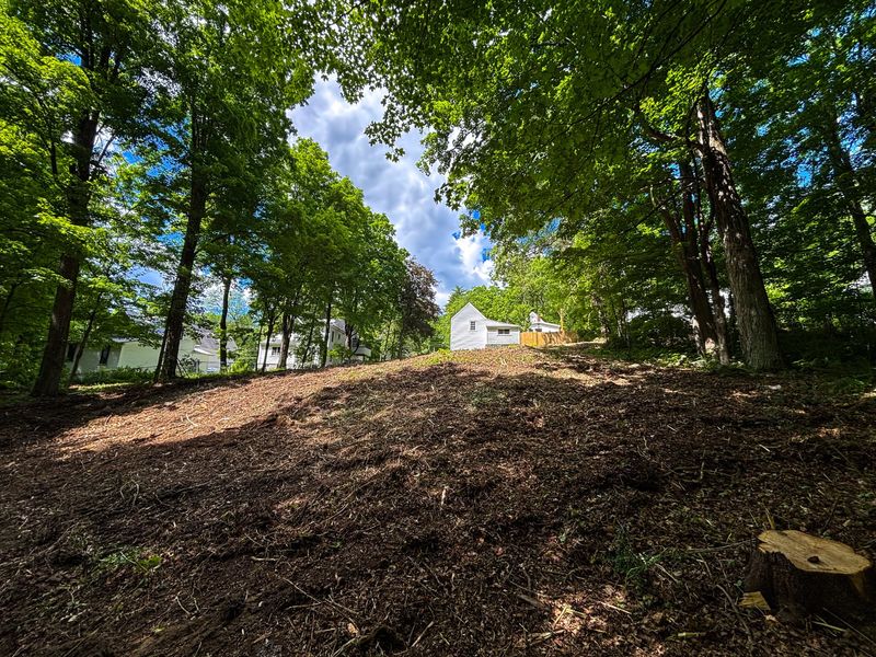 Stump Removal