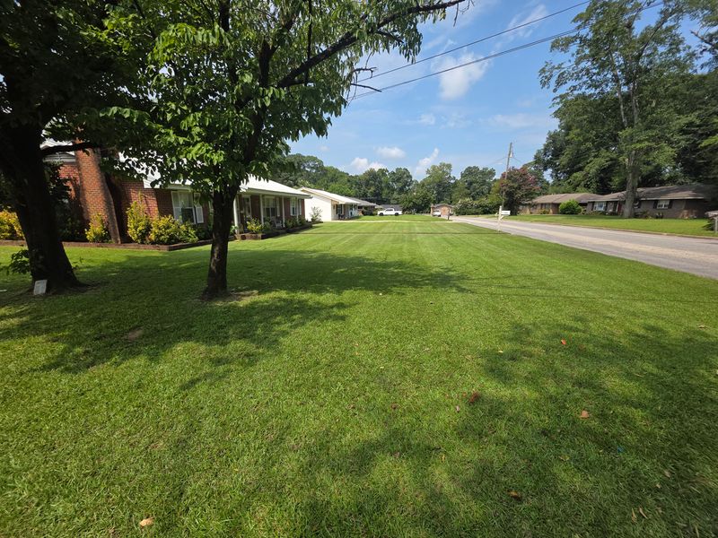 Lawn Maintenance