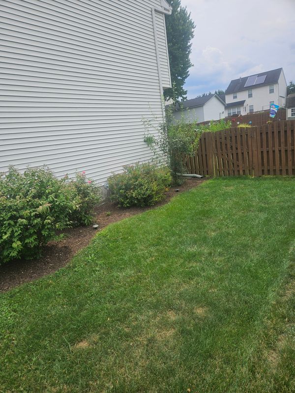 Hedge Trimming