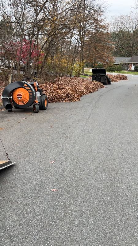 Fall cleanups