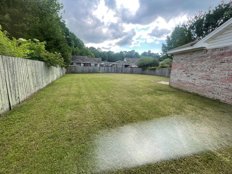 Lawn Maintenance