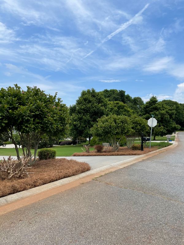 Landscape Enhancement