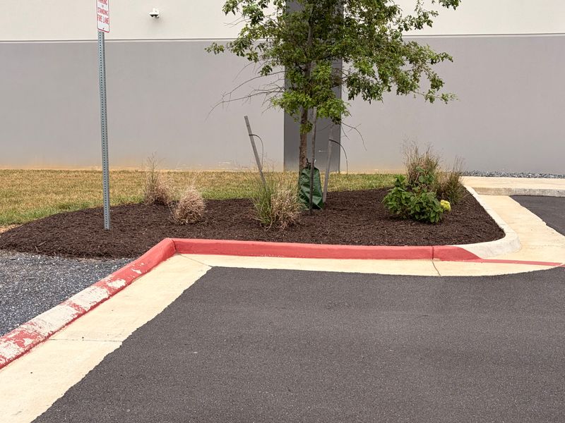 Mulch Installation