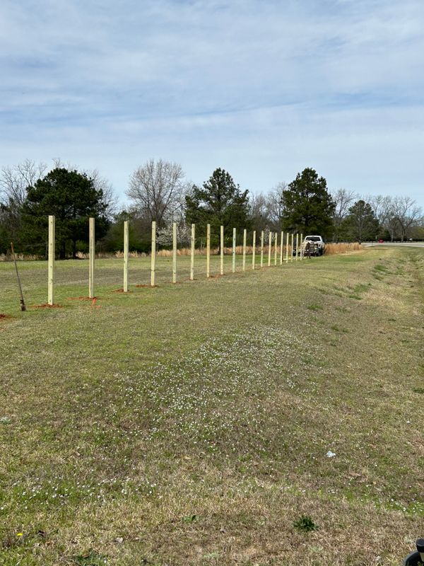 Fencing gallery