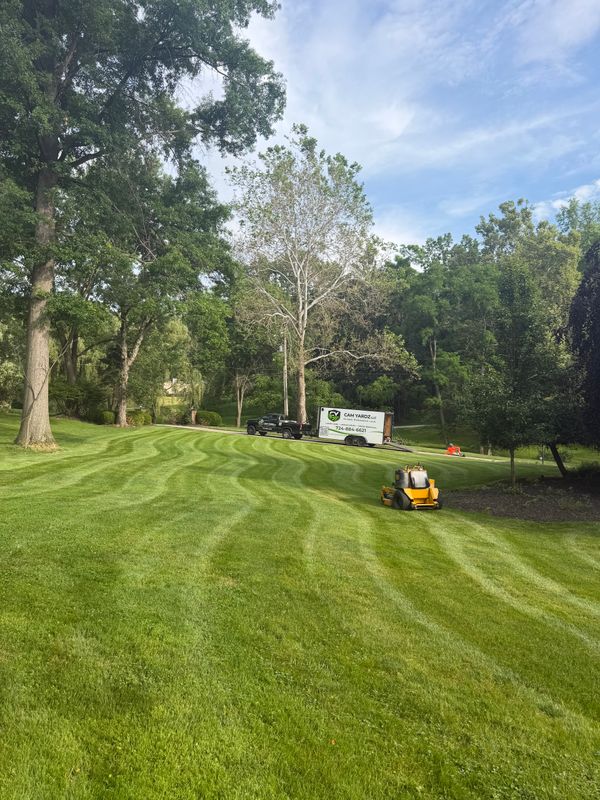 Commercial Lawn Maintenance