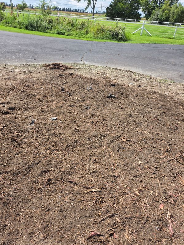 Stump Grinding