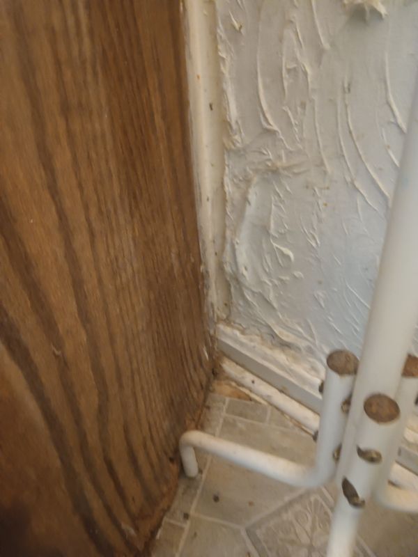 Bathroom overhaul