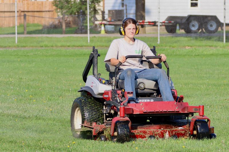 Lawn Mowing