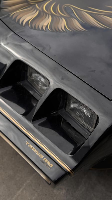 Paint Restoration