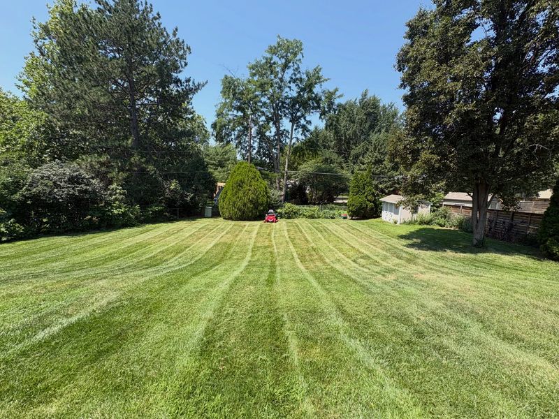 Lawn Maintenance