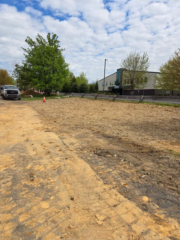 Land Clearing