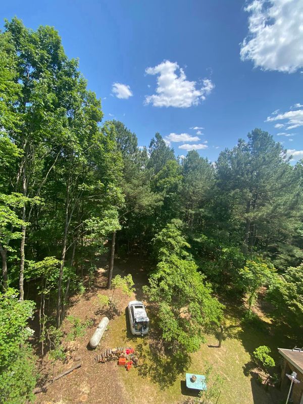 Tree Removal gallery