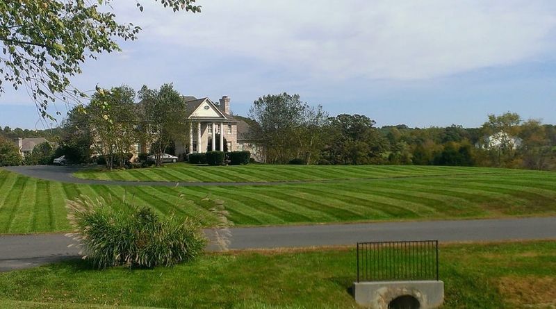 Lawn Maintenance