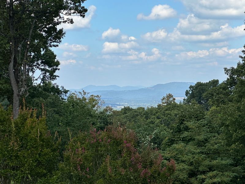 View Clearing