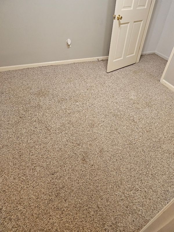 Carpet Cleaning