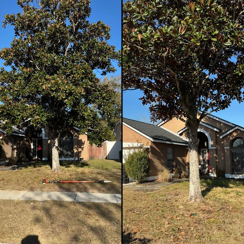 Tree Pruning