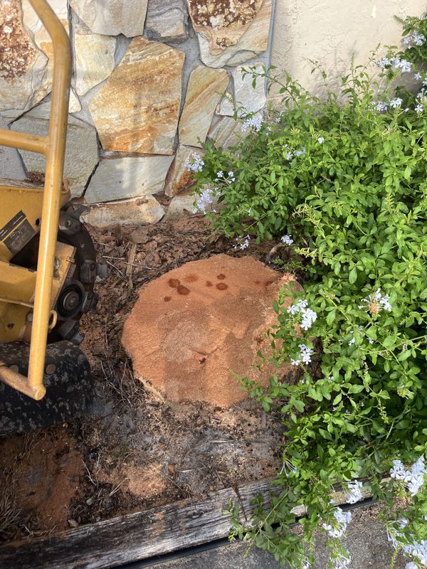 Stump Grinding