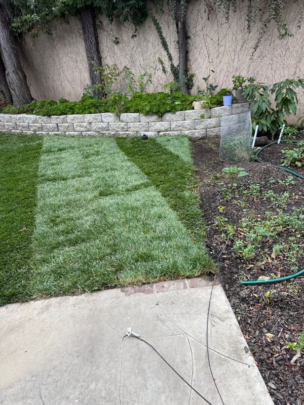 Landscaping