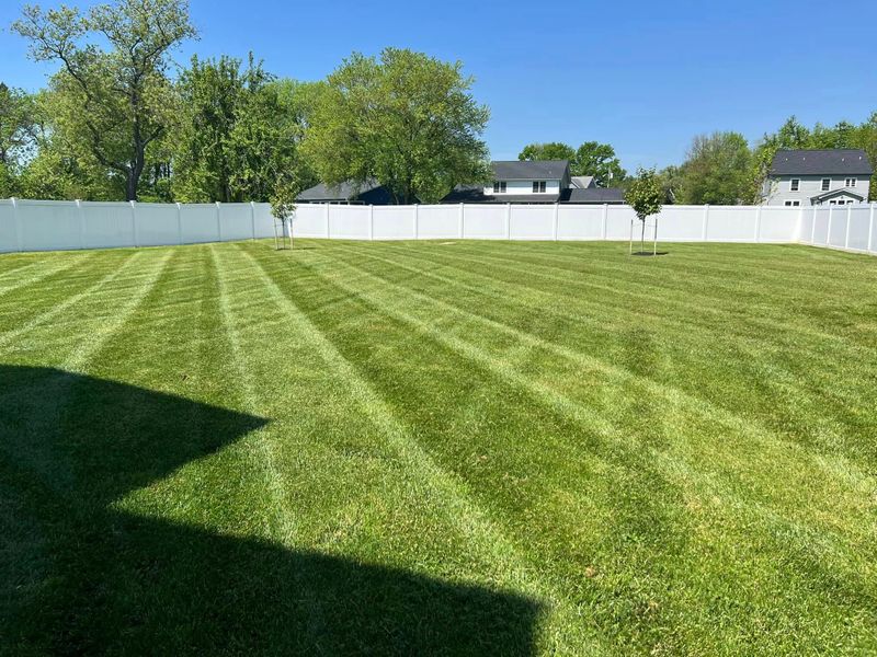 Lawn Maintenance