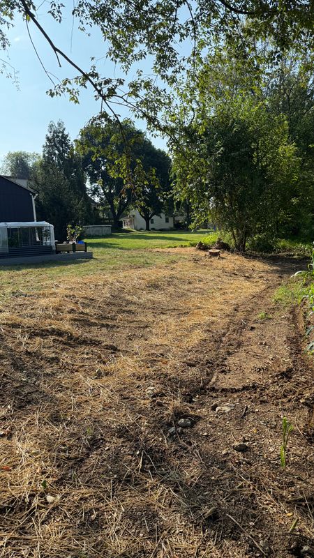 Land Clearing & Mulching