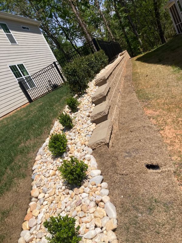 Plant Packages