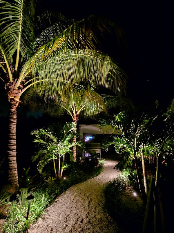 Landscape Lighting gallery