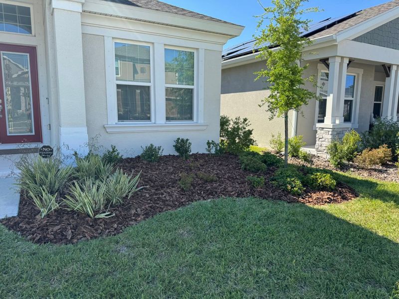 Landscaping