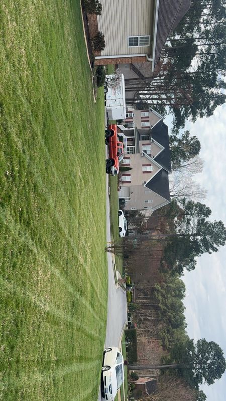 Lawn Mowing