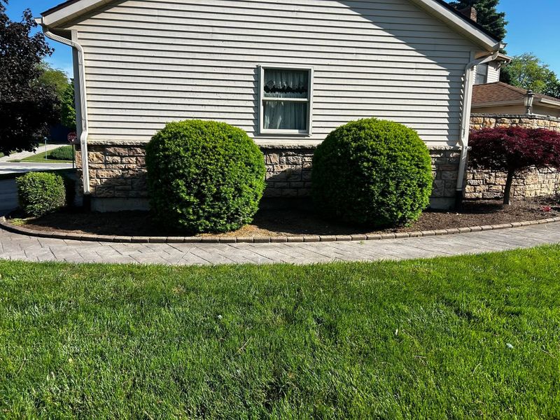 Lawn Maintenance