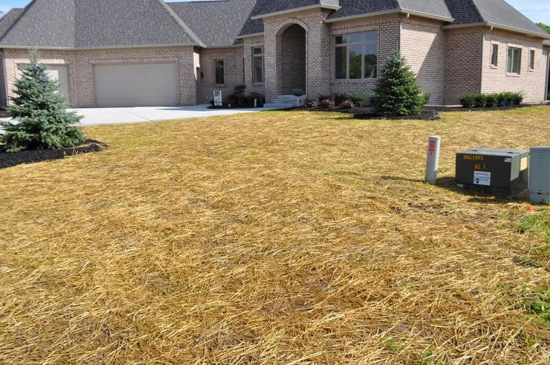 Aeration Overseeding