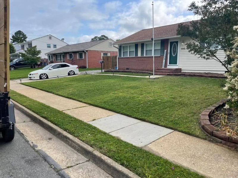 Lawn Mowing