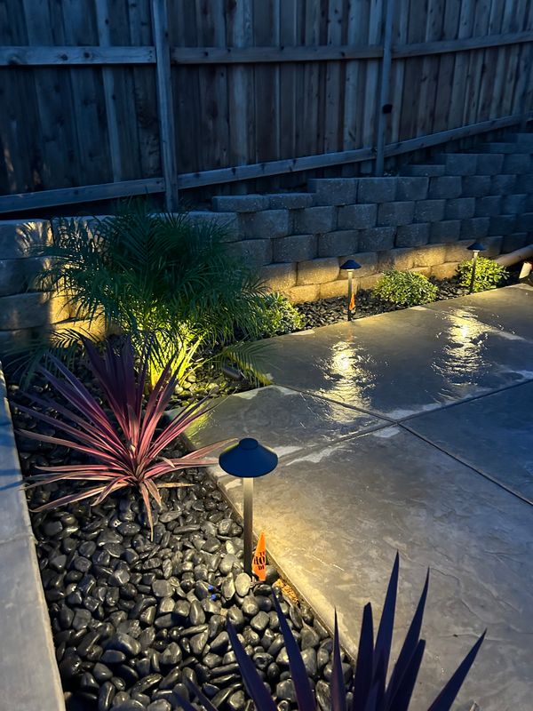 Illuminated Oasis: Pet-Friendly Landscape Masterpiece in Eldorado Hills, CA