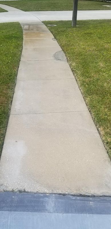 Driveway and Sidewalk Cleaning