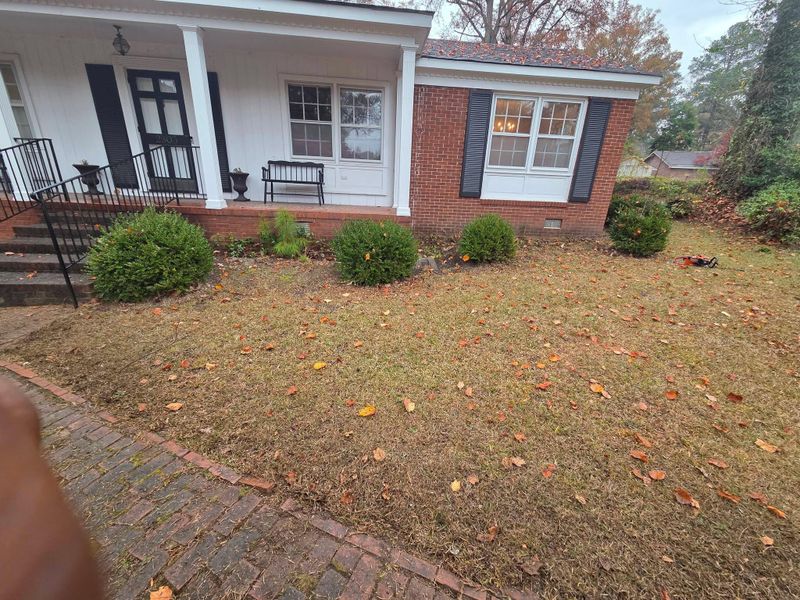 Leaf removal