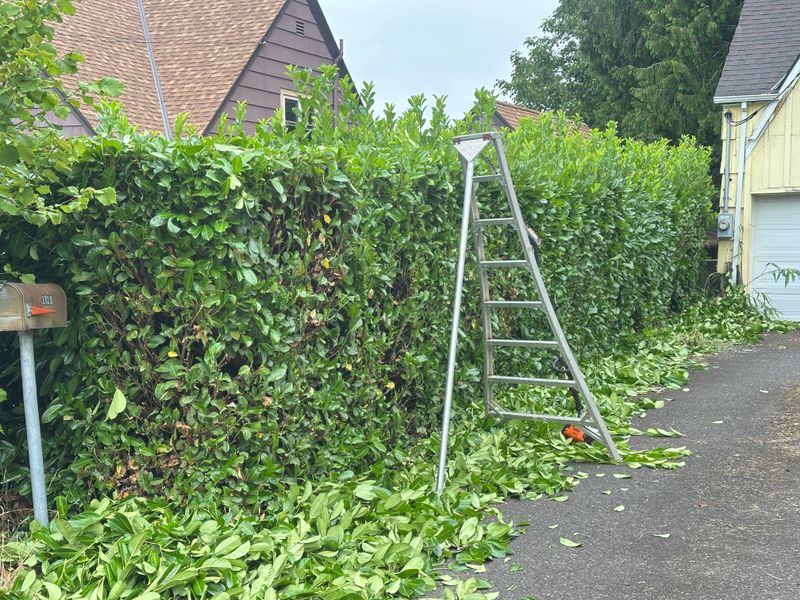 Garden Maintenance