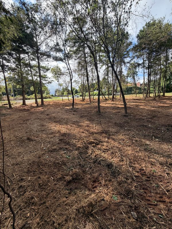 Land Clearing Photos