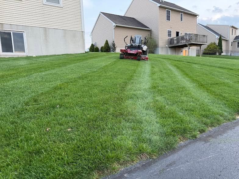 Lawn Care & Maintenance