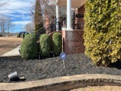 Shrub Trimming