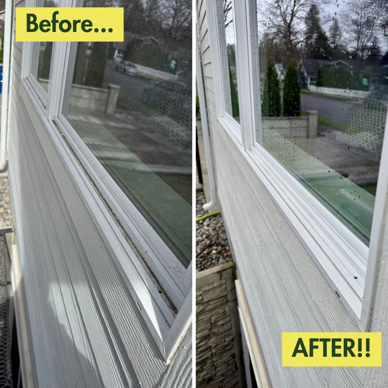 Before & After Photos
